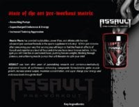 assault2.jpg