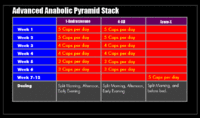 advanced-anabolic-stacking-chart.gif