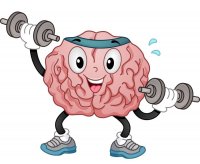 Brain-Health-fitness.jpg