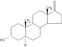 Androsterone.gif