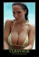 cleavage-cleavage-power-hypnotic-boobs-epic-bikini-boobs-tit-demotivational-poster-1243599283.jpg