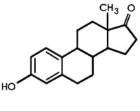 Estrogen Molecule.jpg