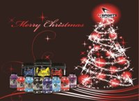 AIsports 5x7 Flyer - CHRISTMAS IN JULY - V2 BACK  small.jpg