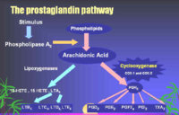 prostaglandin metabolic pathway.jpg