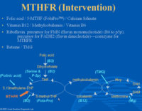 MTHFR(Intervention).jpg