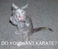 Do you want karate.jpg