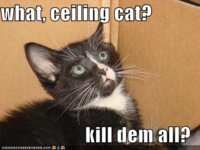 funny-pictures-ceiling-cat-tells-kitten-to-kill.jpg