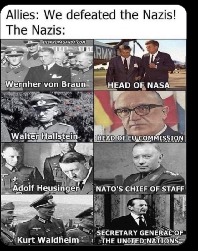 233225