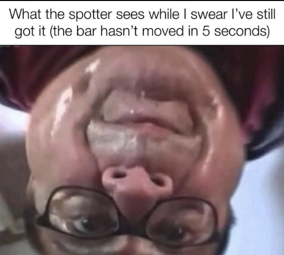 236626