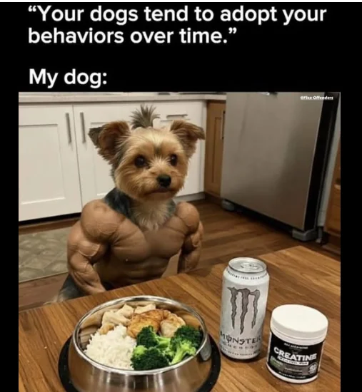 1763651180509.webp