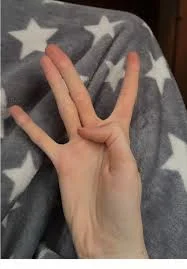 1765925707906.webp