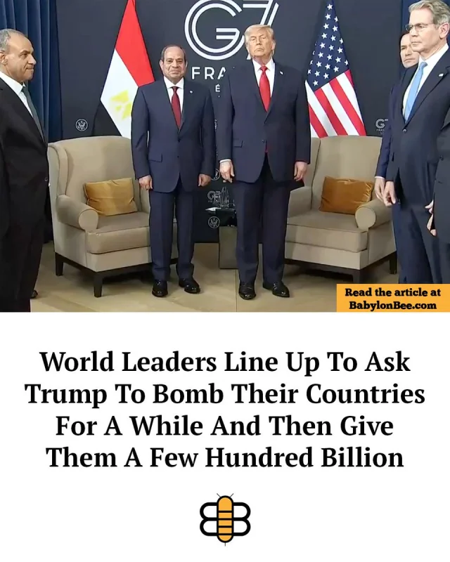1781812676112.webp