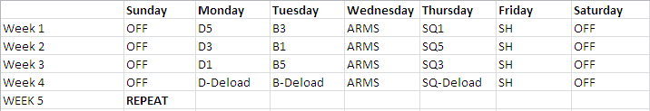19547d1438080069-ramrods-workout-log-untitled-11.png