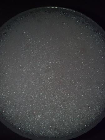 2012-07-03_12-30-12_13.JPG