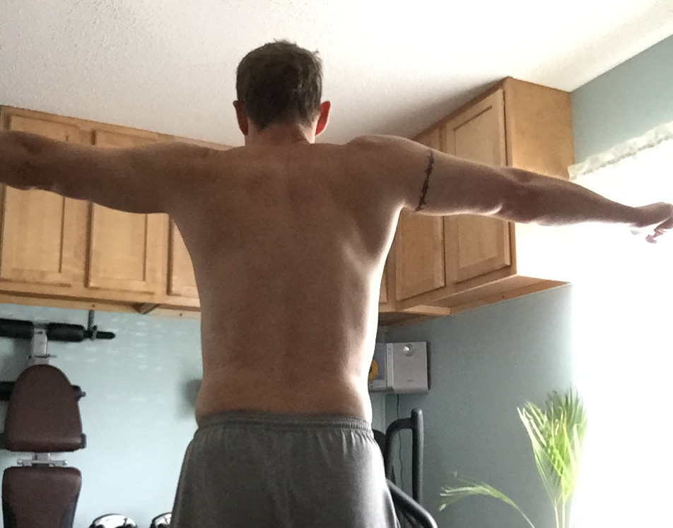 2016-05-20 shoulder back (Cropped).jpg