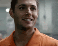 307.gif
