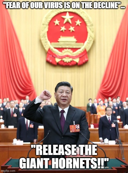 54CFF02F-FFD7-415F-ACA2-5C81ECBA33C1.jpeg
