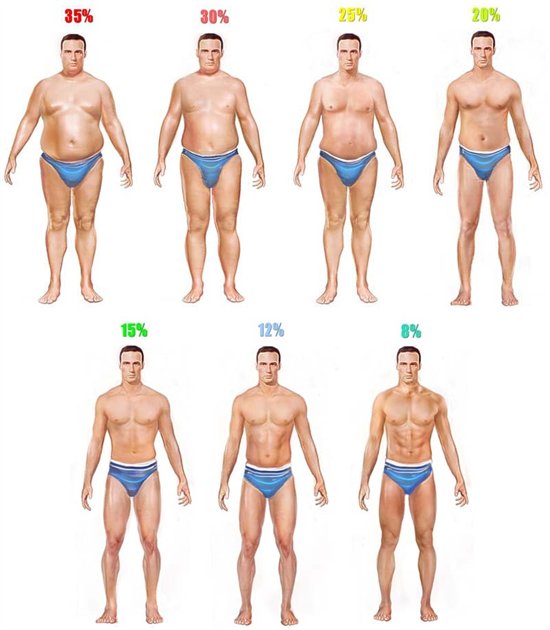 7713.men-body-fat1.jpg