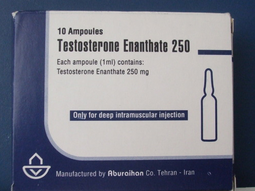 aburaihan-testosterone-enanthate-250.jpg