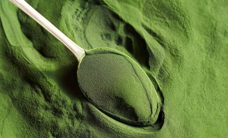 Algae-as-a-Superfood.webp