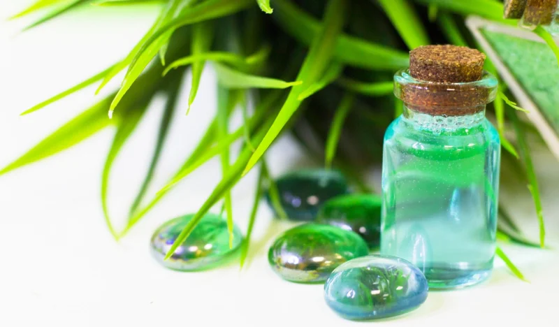 Algae-Oil.webp