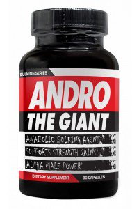 andro_the_giant.jpg