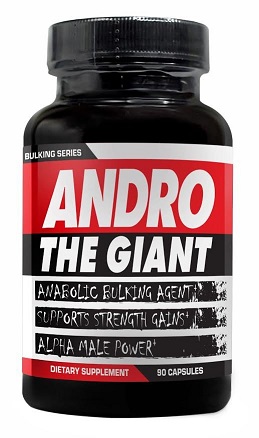 andro_the_giant.jpg