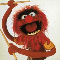 animal_the_muppet.jpg