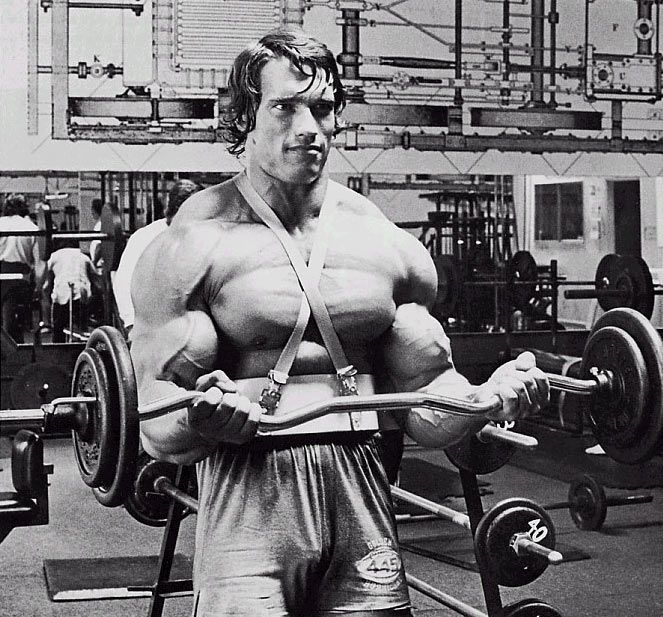 Arnold Arm Blaster.jpg