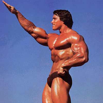 Arnold-Schwarzenegger-Bodybuilding.jpg