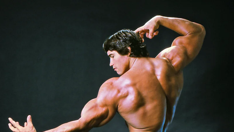 Arnold-Schwarzenegger-Mr-Olympia-IFBB-Pro-Bodybuilder.webp