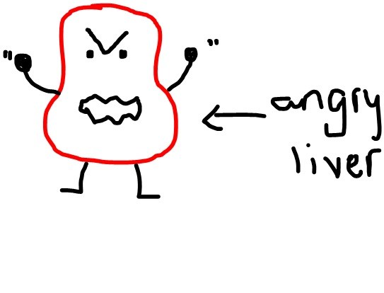 Ashley__s_Angry_Liver_by_ABloodRedRose.jpg