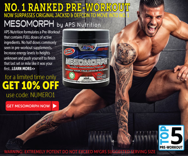 banner_mesomorph_600x500.jpg
