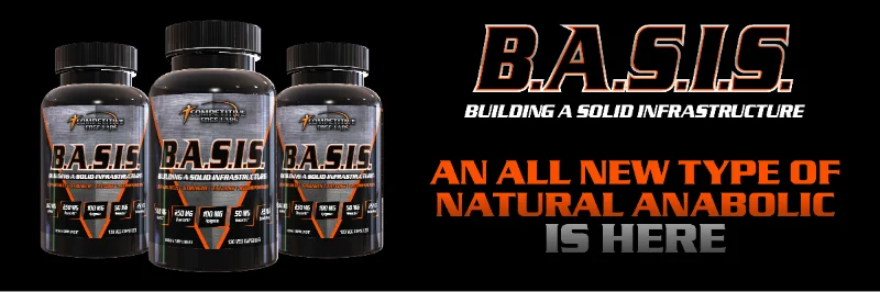 BASIS (1920X640) HERE3.webp