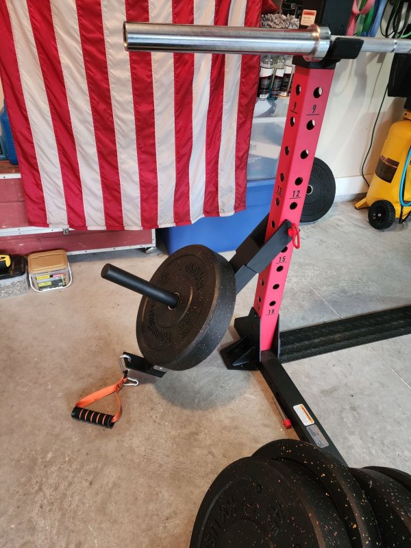 Belt Squat.jpg
