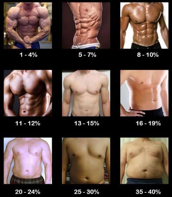 body-composition-chart-men.jpg