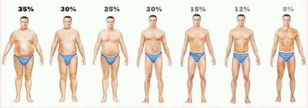 body-fat-levels.jpg