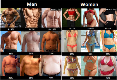 body-fat-percentage-picture-men-women.jpg