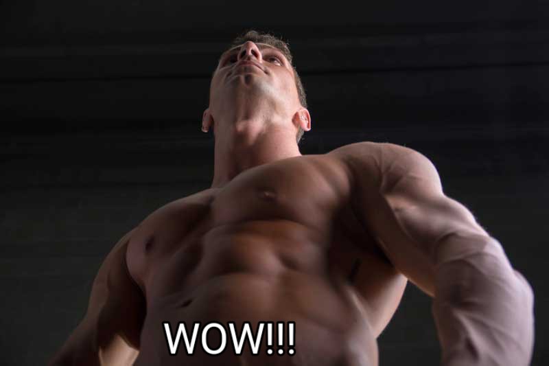 bodybuilder-view-up~2.jpg