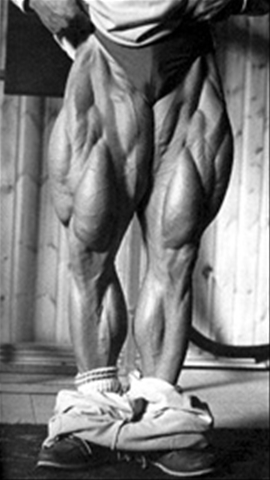 bodybuilding_legs.jpg