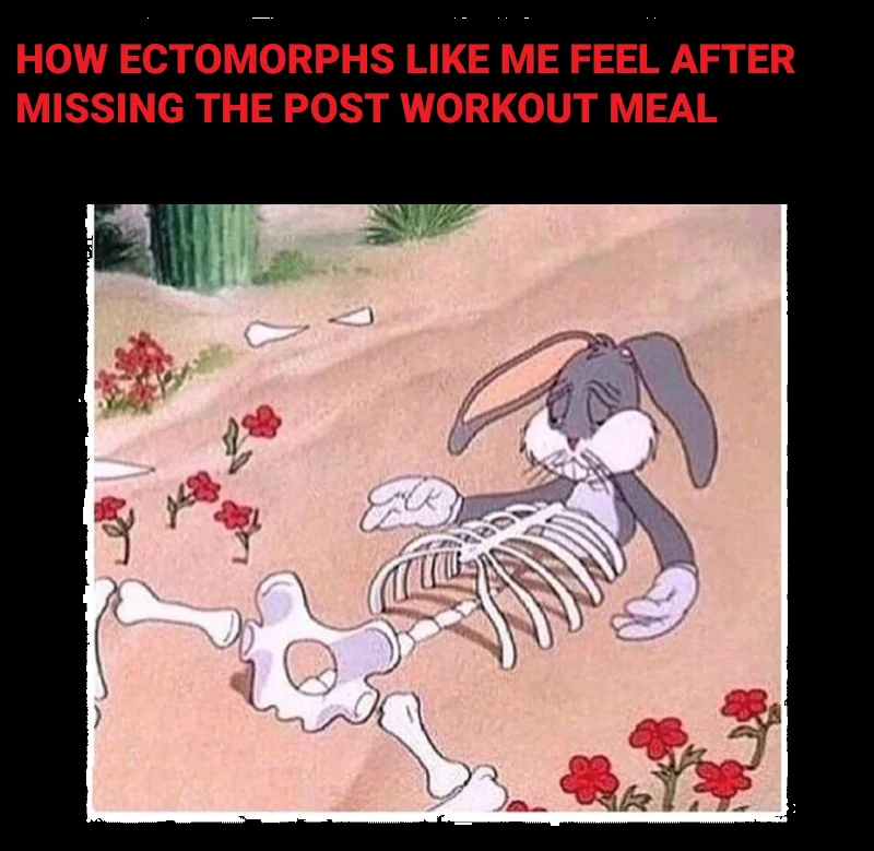 bugs bunny.webp