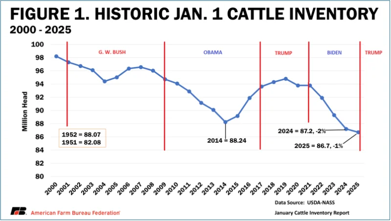 Cattle herd graph(1).webp