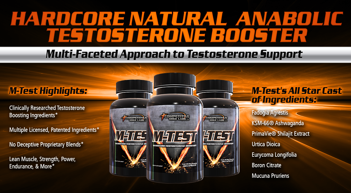 CEL M-Test 660x1200 v2.png