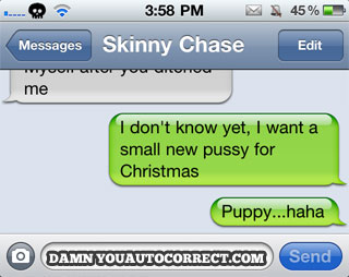 christmas-puppy.jpg