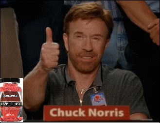 chuck_norris_approved.jpg