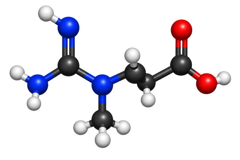 Creatine_Molecule.webp