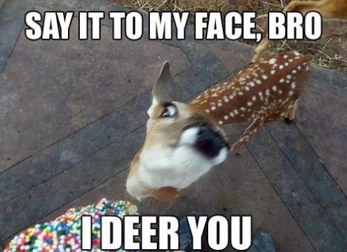 deer_you.jpg