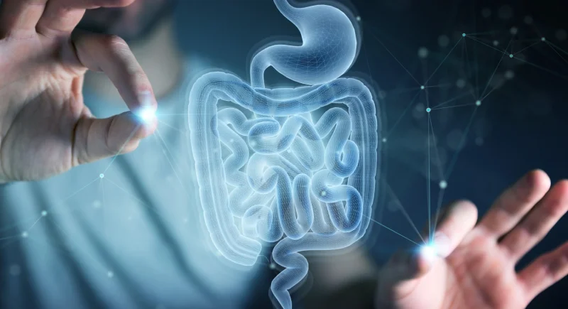 Do-Supplements-Improve-Gut-Health.webp
