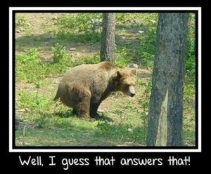 does-a-bear-****-in-the-woods-funny-pictures-300x248.jpg