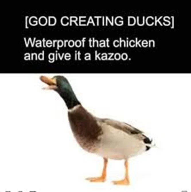 ducks.webp